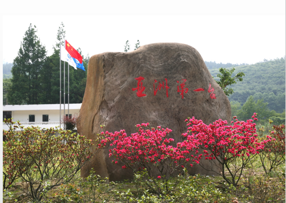 微信图片_20260702102603_6_338.png